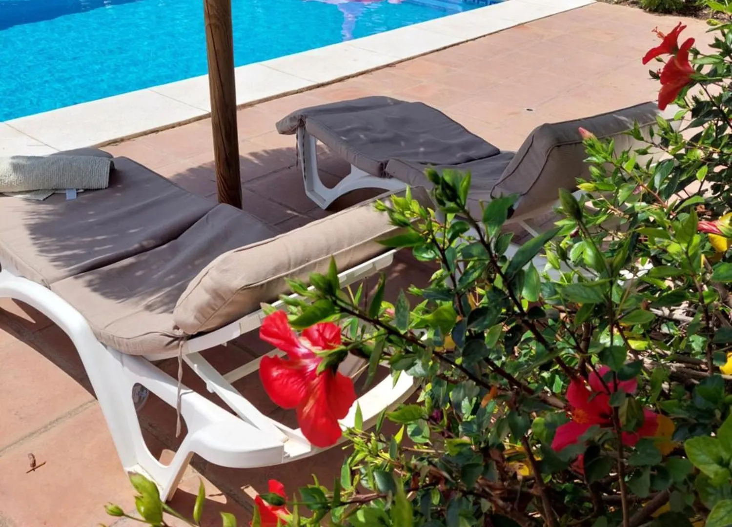 Casa Sunflower Villa Malaga