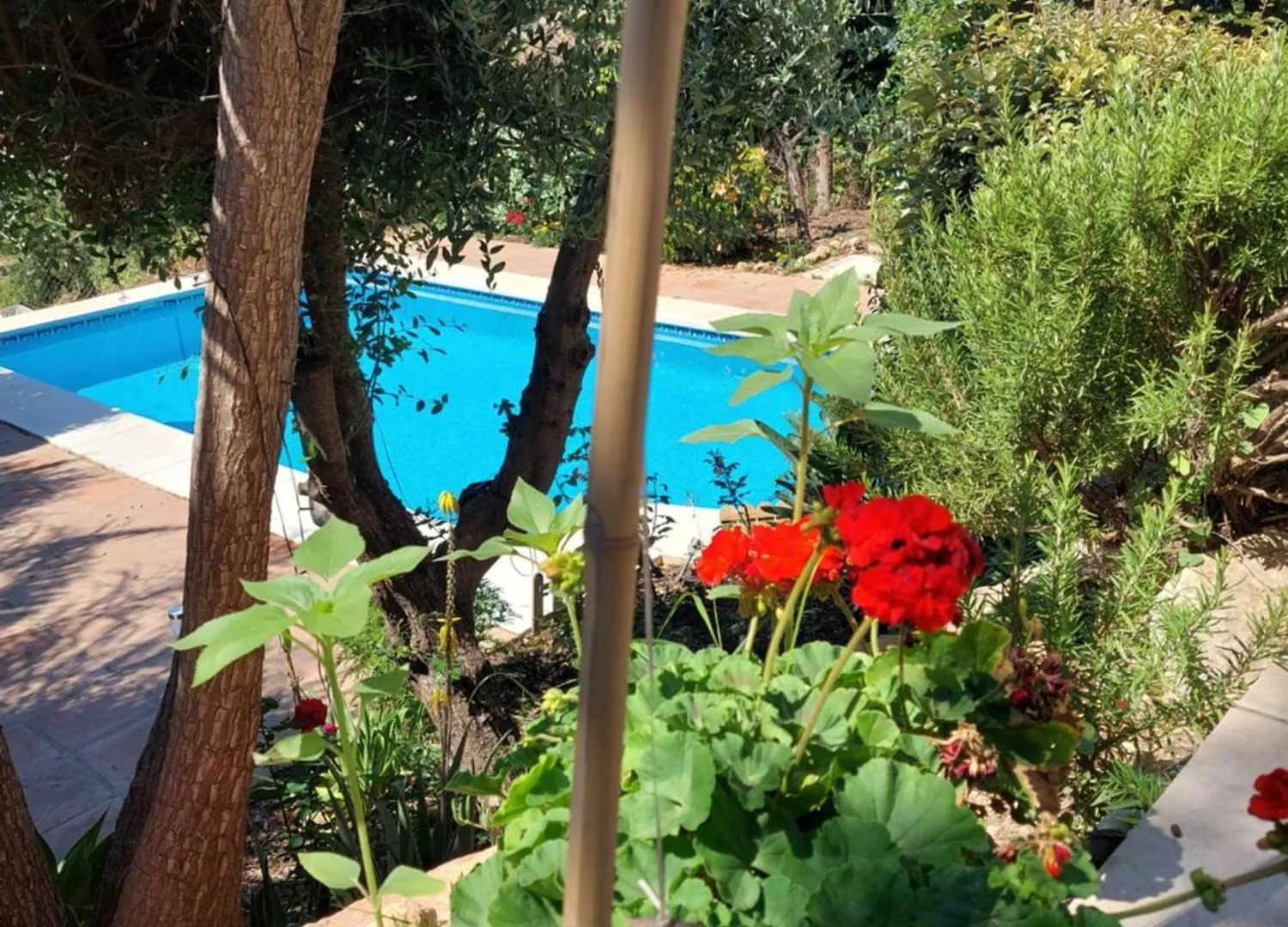Casa Sunflower Villa Malaga Spain