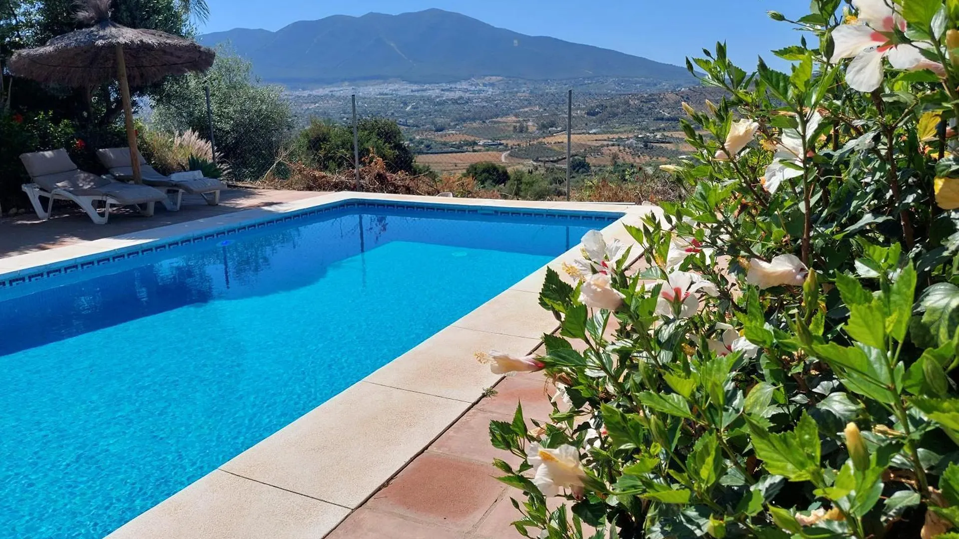 Casa Sunflower Villa Malaga